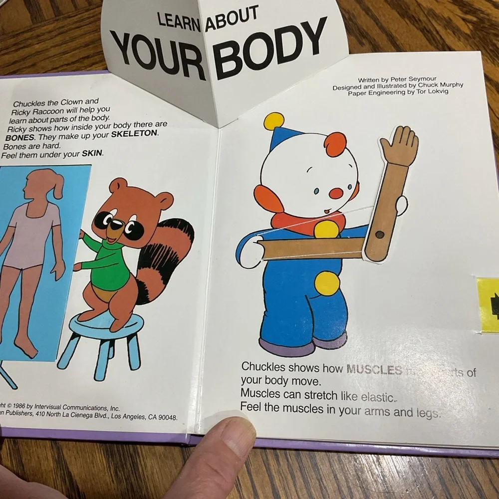 Educational Popup and Board Book Collection for Kids